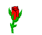 fleur27.gif