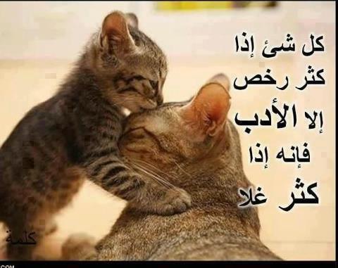 image129085.html