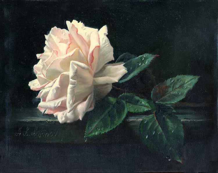 white_rose_8x10.jpg