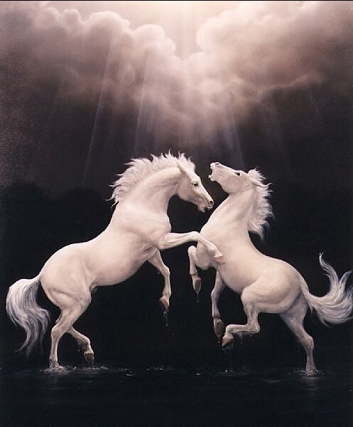 Horsefight.gif
