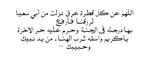 tumblr_n24mvs62Od1rcdsq4o1_500.png
