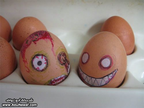 egg7.jpg