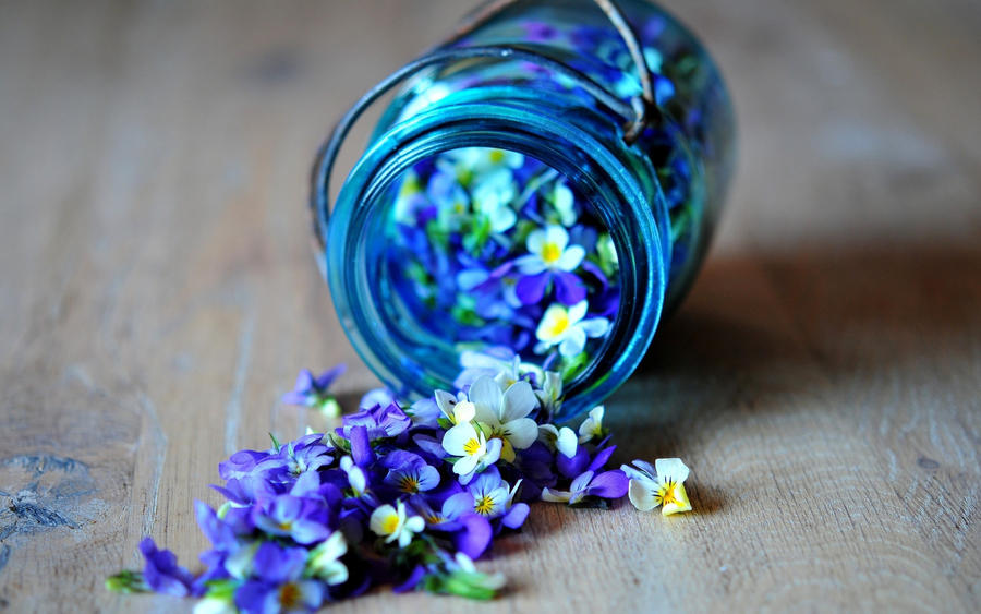 flowers_glass_wallpaper_by_isfe-d4mkron.jpg