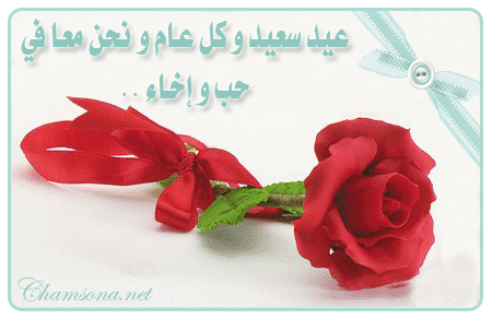 06.gif