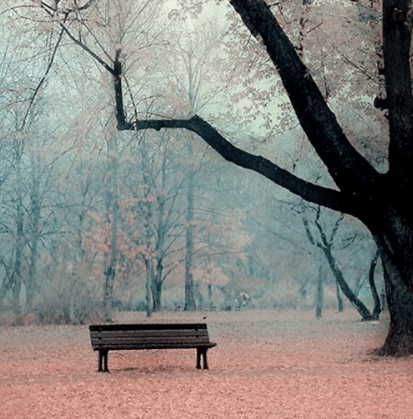 01181210.gif