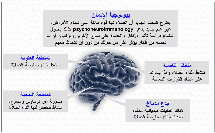 prayer-brain-active-000.GIF