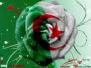 sigpic295616_1.gif