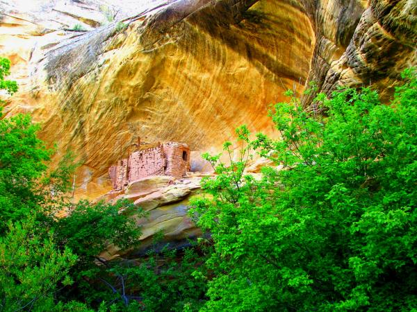 Anasazi+Ruins+by+Rick+Schafer-cliff_dwelling_near_cave_7600_450.jpg