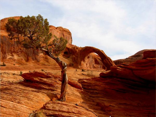 Anasazi+Ruins+by+Rick+Schafer-corona_arch__moab_utah600_453.jpg