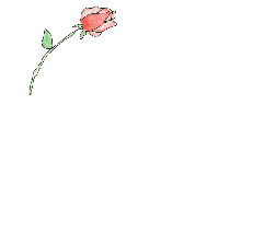 Friendship%20rose%20animated.gif