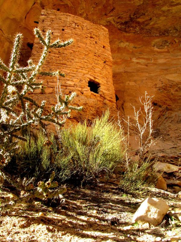 Anasazi+Ruins+by+Rick+Schafer-tower_house600_800.jpg