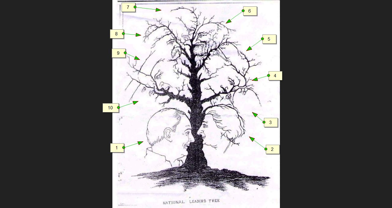 National+Leaders+Tree+Illusion+Solution+Diagram.jpg