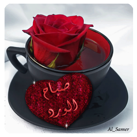 photos_sabah_al-khair_good_morning_08.gif