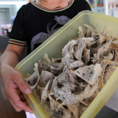 birds-nest-soup-xl.jpg