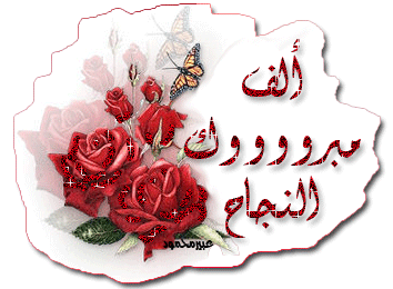 photos_mabrouk_success_02.gif