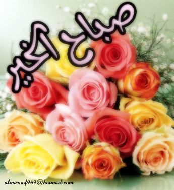 %D8%B5%D9%88%D8%B1+%D8%B9%D9%86+%D8%A7%D9%84%D8%B5%D8%A8%D8%A7%D8%AD+-4.jpg
