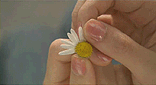 %25D9%2588%25D8%25B1%25D8%25AF.gif