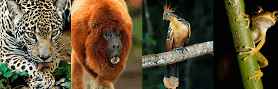 ScreenHunter_03+Oct.+22+19.57.gif