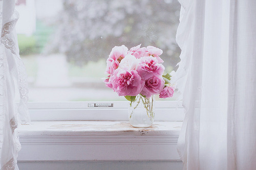 tumblr_n3h33hTcfO1shw8x4o1_500.jpg