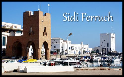 19-sidi-ferruch-port-mediterranee.jpg