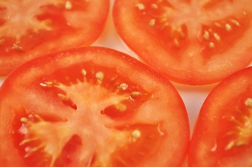 Tomate-500x332.jpg
