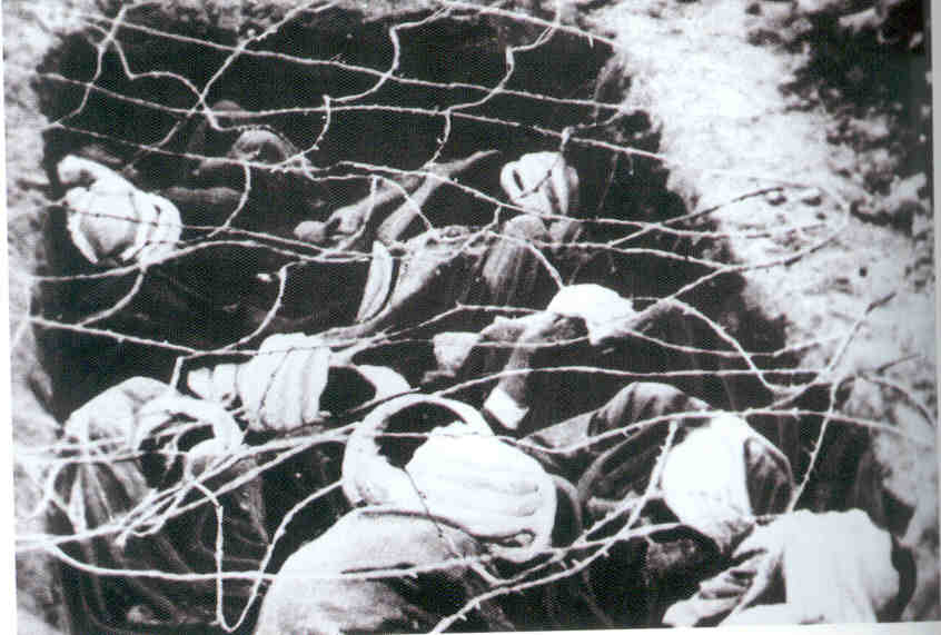 guerre-algerie-prisonniers3.jpg