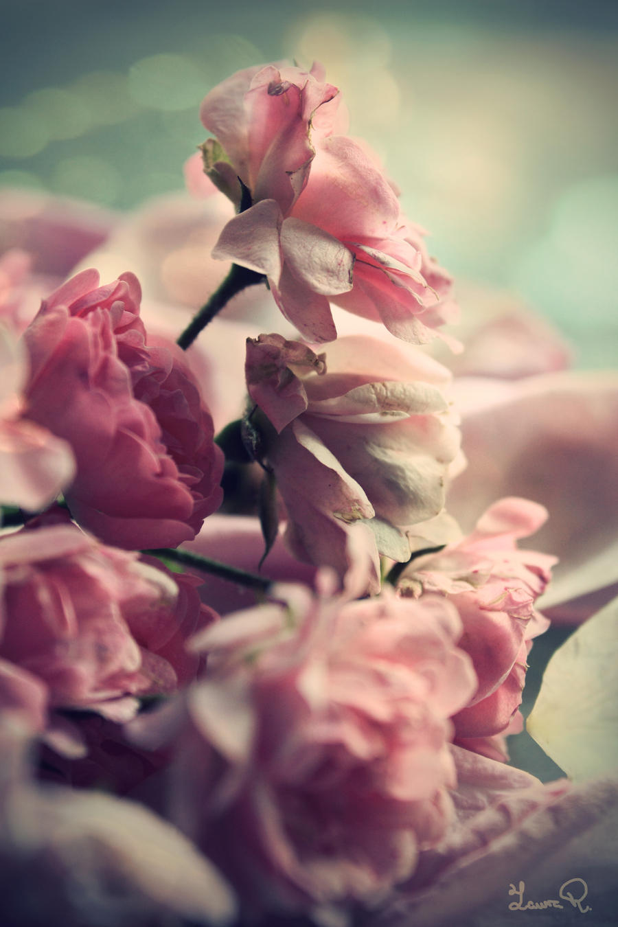 vintage_roses_by_lunadulcinea-d3jyg30.jpg