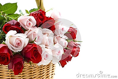 roses-sp-eacuteciales-pour-vous-thumb13446052.jpg