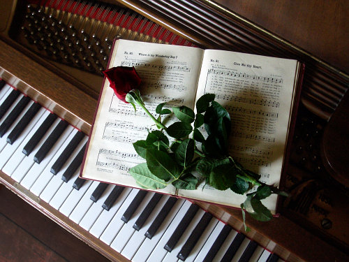 cimg5129-rose-on-music-book-on-piano-q85-500x375.jpg