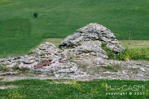 guelma_2007_0024.jpg