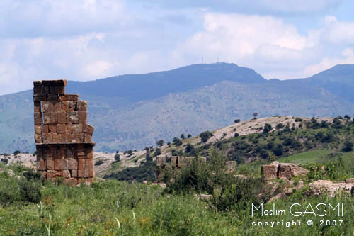 guelma_2007_0462.jpg