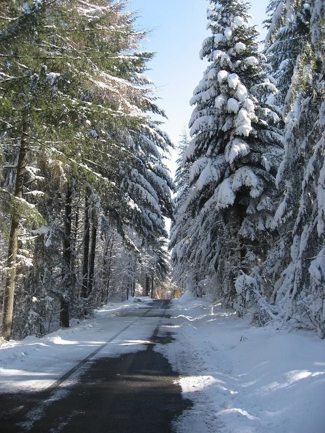 Route-entre-Roybon-et-Col-des-Toutes-Aures.JPG