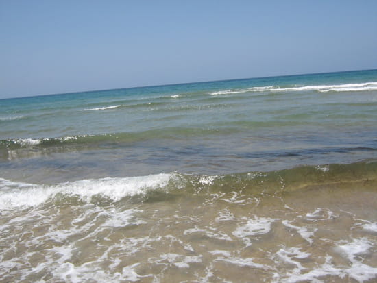 vagues-mostaganem-algerie-1326039017-1223751.jpg