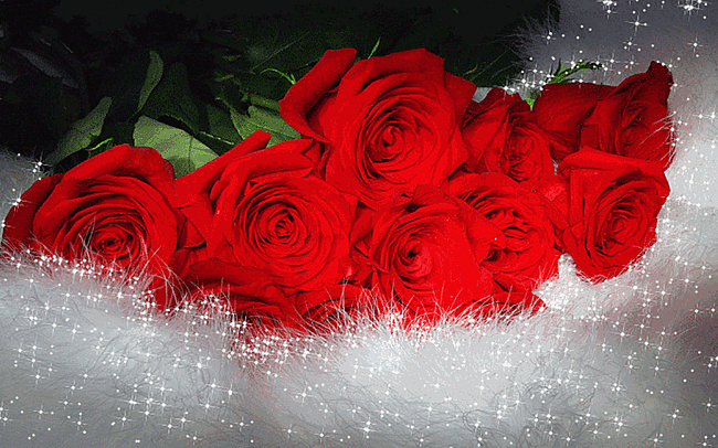 beautiful-roses-flowerdrop-23807615-650-406.gif