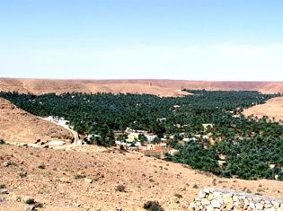 Ghardaia-Palmeraie-de-Beni-Isguen.jpg