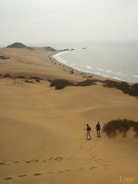 11720-vue-sur-la-plage-de-chaabia-mostaganem.jpg