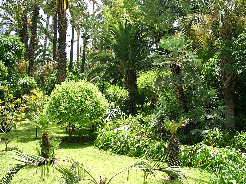 800px-Majorelle_Garden_%282%29%2CMarrakech%2CMorocco.jpg
