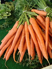 carrots221105.jpg