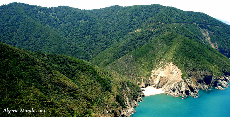 cote-jijel.jpg