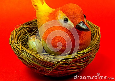 bird-nest-thumb13365.jpg