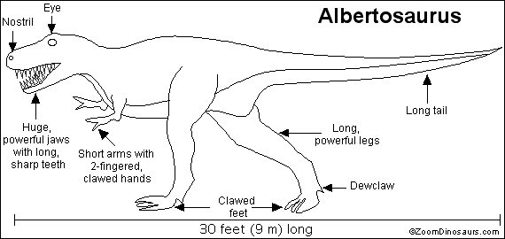 Albertosaurus_bw.GIF