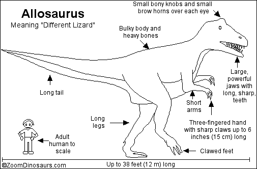 Allosaurus_bw.GIF