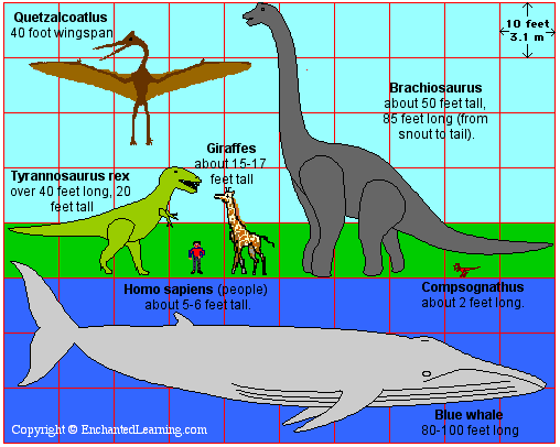 Sizecomparisons.GIF