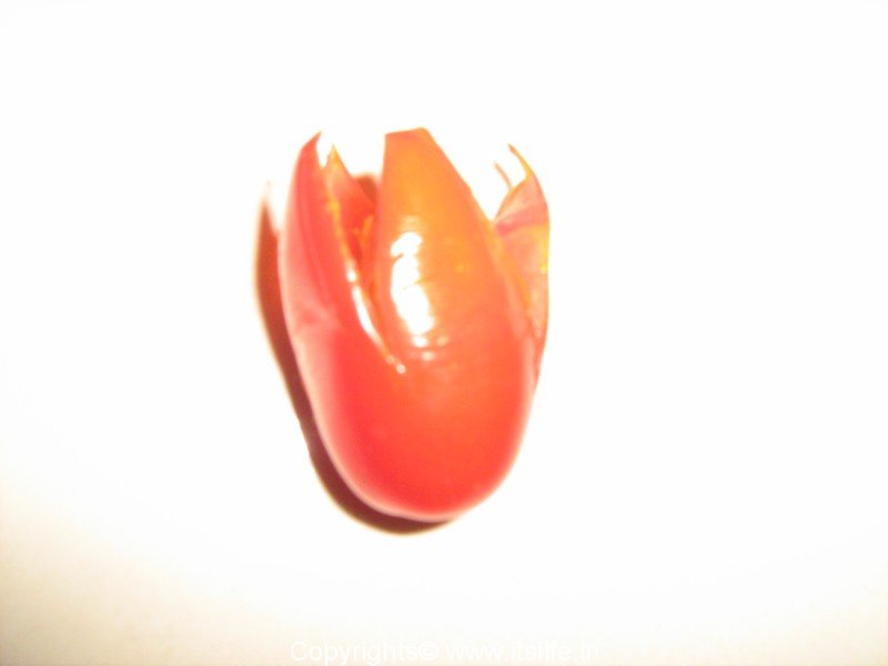 diy-cherry-tomatoes-carving2-3.jpg