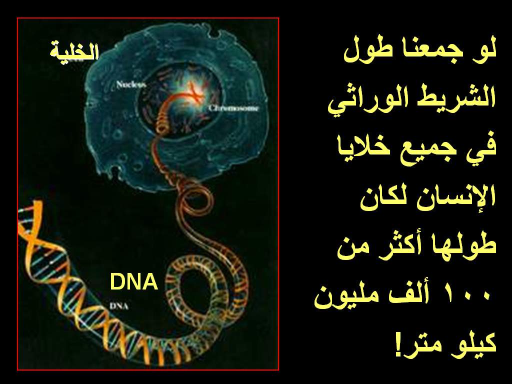 323556dna.JPG