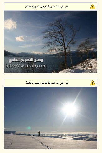 115872.imgcache.gif