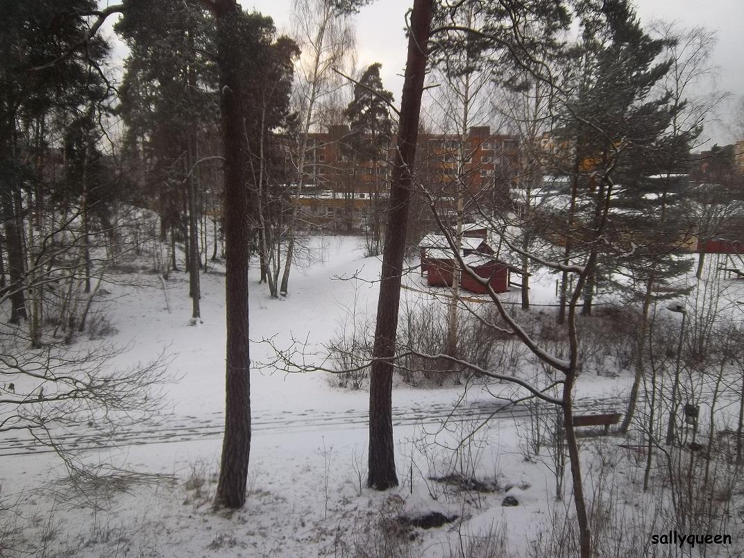 296116960.jpg