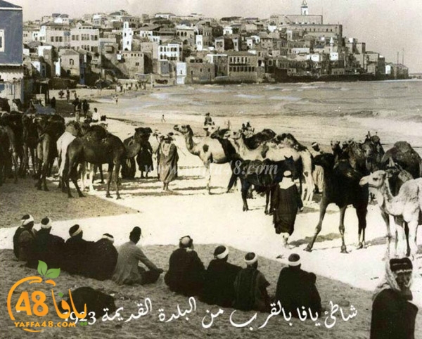 yaffa%20old%201934%20%2817%29.jpg