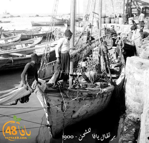 yaffa%20old%201934%20%2834%29.jpg