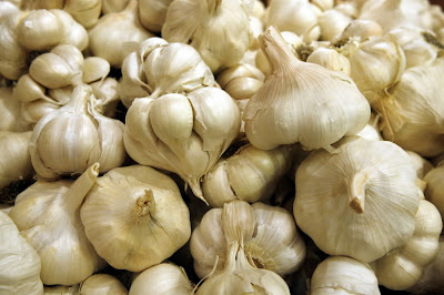 garlic+77.jpg